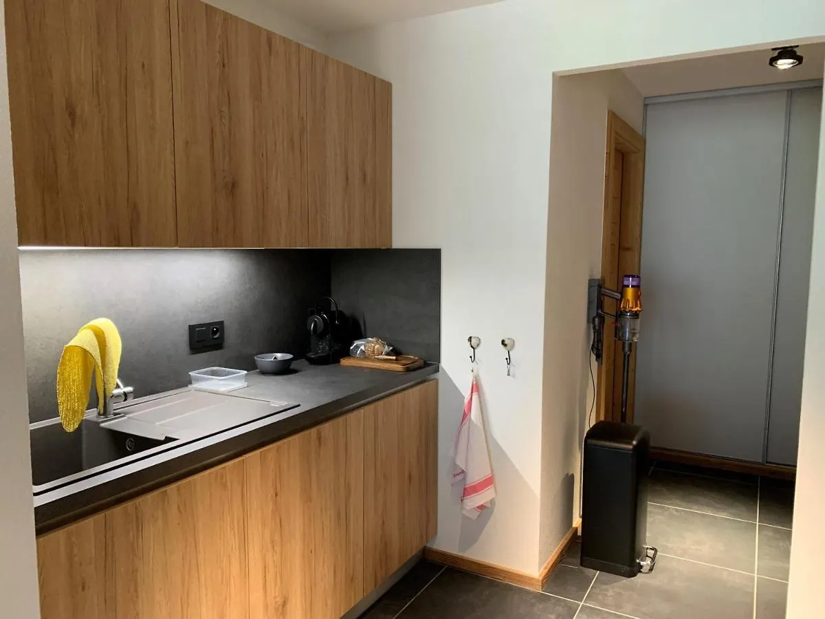 Apartment Appartement 6 Pers Avec Balcons, Garage Et Local A Ski - Fr-1-198-238 Chatel France