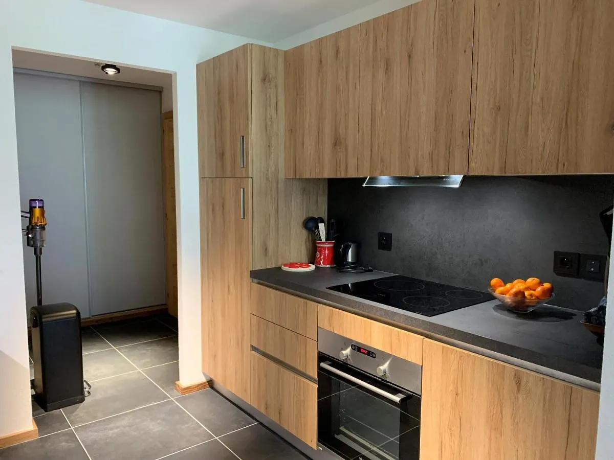 Appartement 6 Pers Avec Balcons, Garage Et Local A Ski - Fr-1-198-238 Chatel Apartment