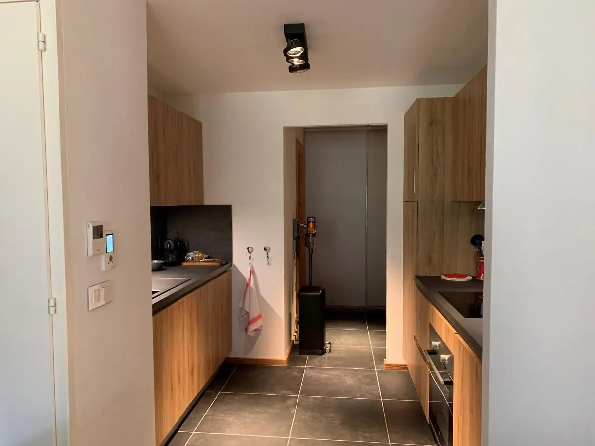 Appartement 6 Pers Avec Balcons, Garage Et Local A Ski - Fr-1-198-238 Chatel 0*,
