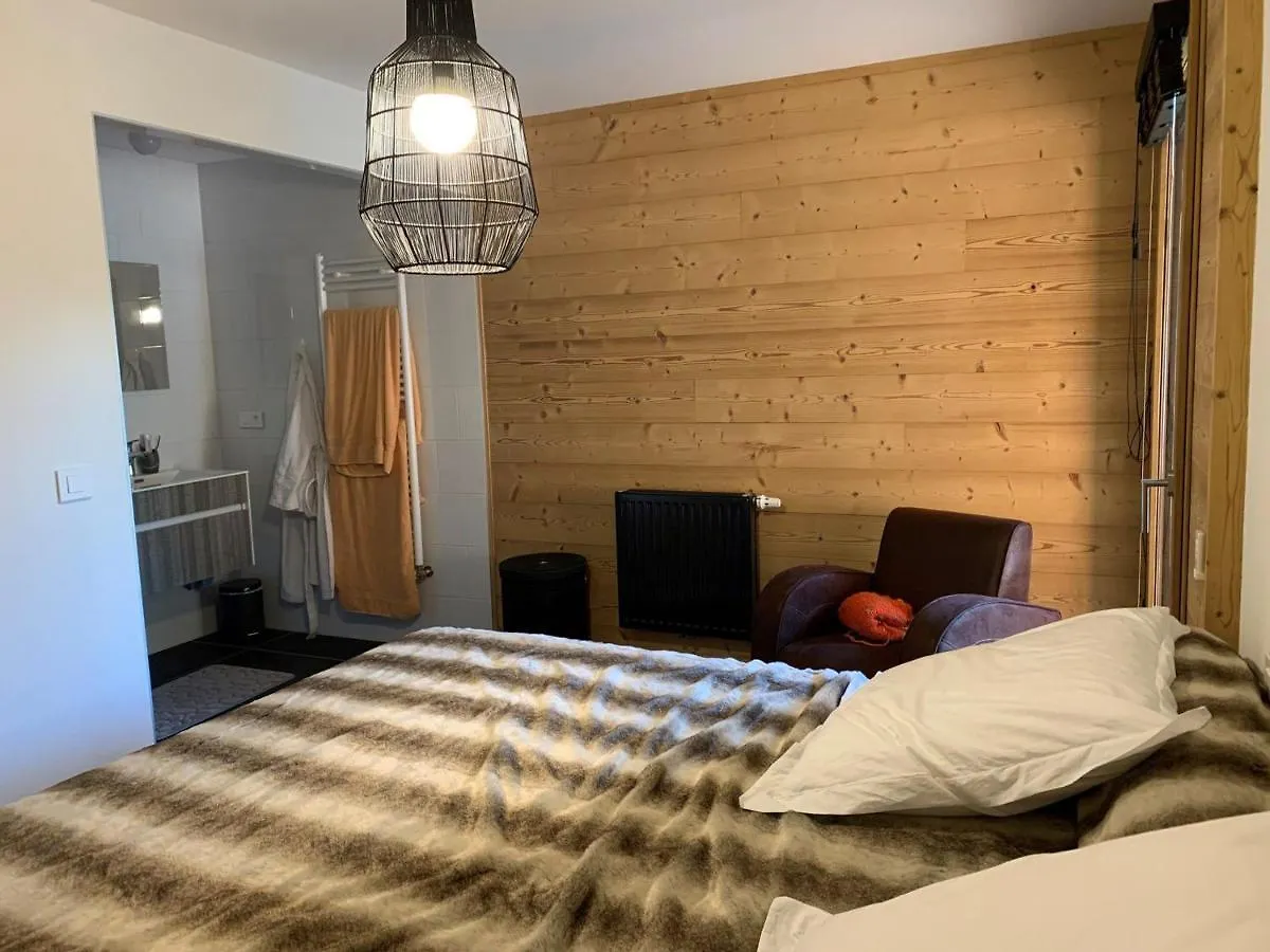 Appartement 6 Pers Avec Balcons, Garage Et Local A Ski - Fr-1-198-238 Chatel France